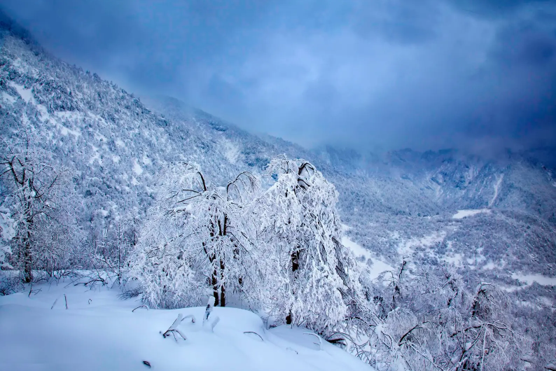 冬季冰雪世界